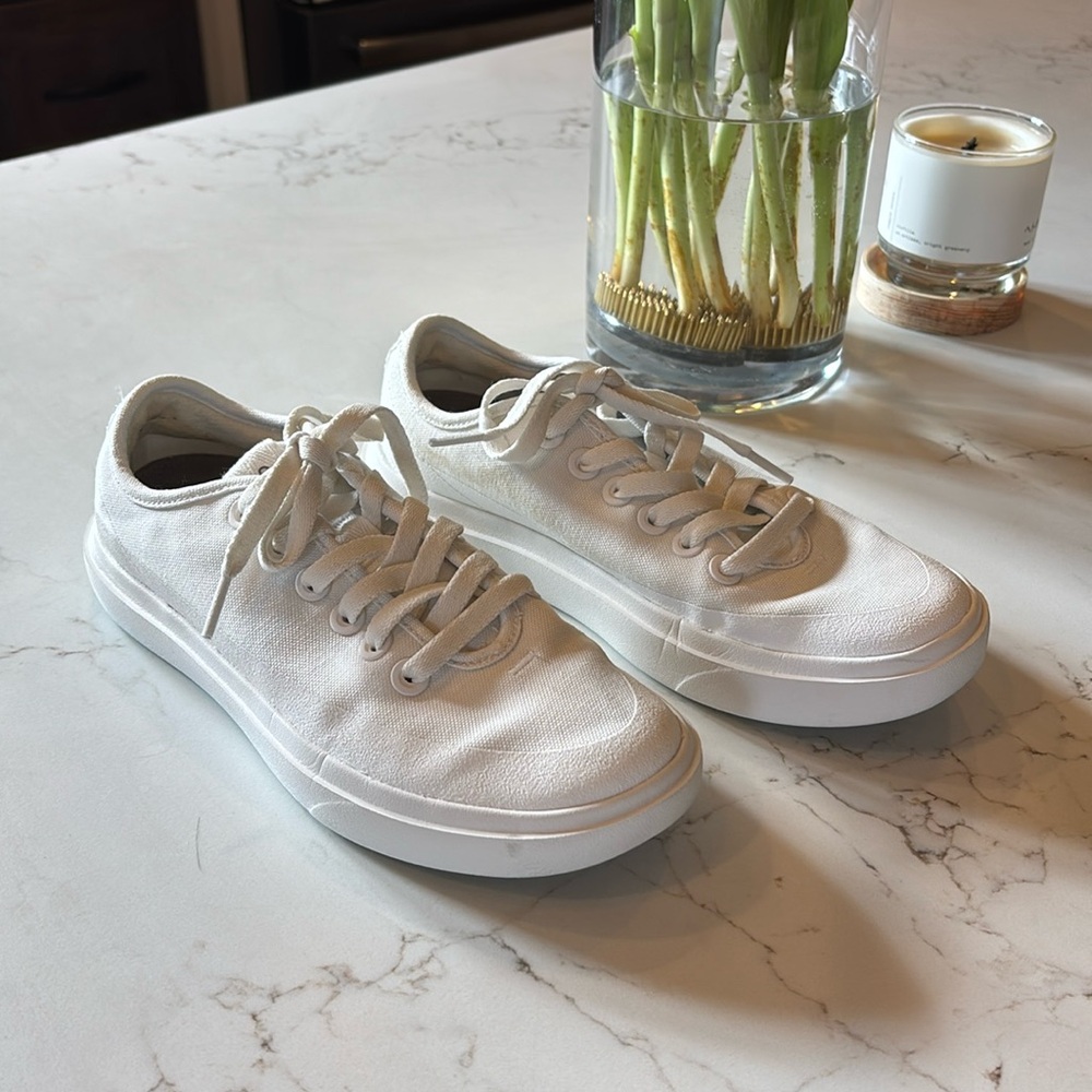 Allbirds Canvas Pipers